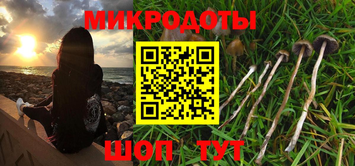 Галлюциногенные грибы MAGIC MUSHROOMS  Вход с VPN  Малгобек 